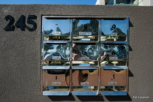 Kiwi mail boxes